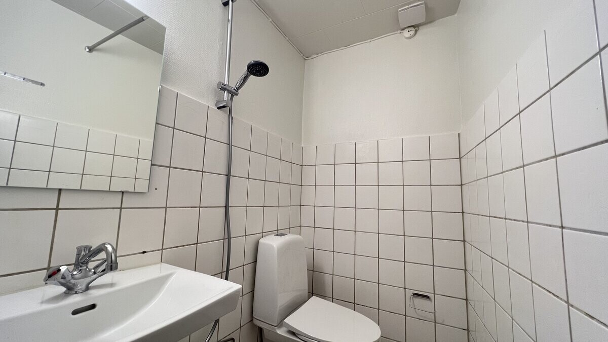 Skovbrynet billede 3